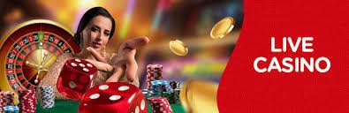 pk308 Live Casino